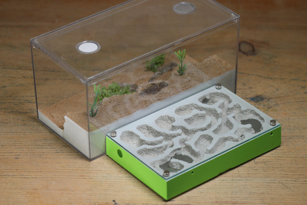 Mini Labyrinth (BF) (Lime 3824)