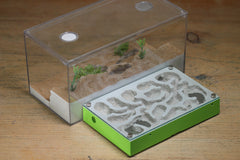 Mini Labyrinth (BF) (Lime 3824)