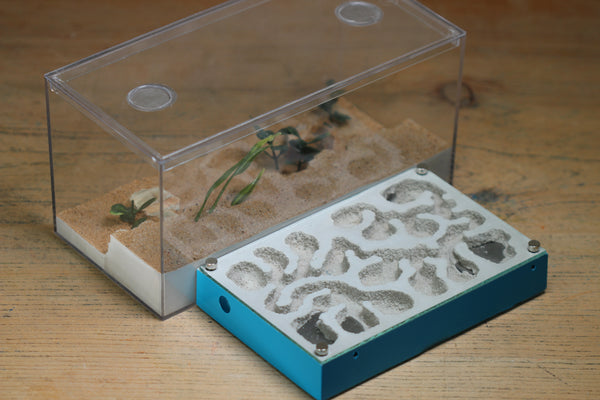 Mini Labyrinth (BF) (Aqua Blue 3825)