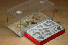 Mini Labyrinth (BF) (Red 3829)