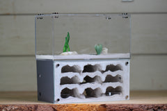 Nucleus (BF)(Grey 3883)(MQ Box)