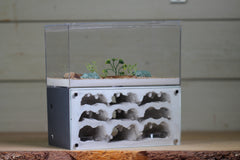 Nucleus (BF)(Grey 3884)