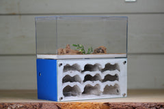 Nucleus (BF)(Dark Blue 3885D)