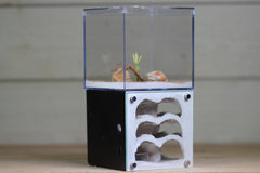 Casita III (2-sided)(Black 4001)