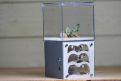 Casita III (2-sided)(Grey 4002)