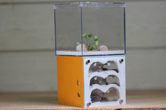 Casita III (2-sided)(Terra 4003)