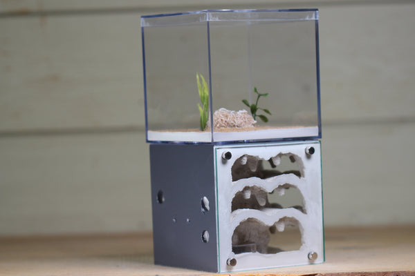 Casita III (3-sided)(Grey 4007)