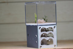 Casita III (3-sided)(Grey 4007)