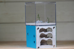 Casita III (3-sided)(Aqua Blue 4011)