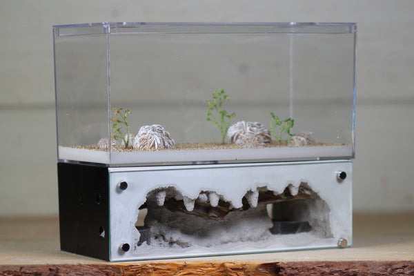 Hearth (Black 4054)(2-Sided)