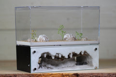 Hearth (Black 4054)(2-Sided)