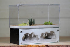 Hearth (Black 4056)(2-Sided)