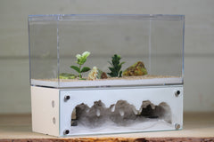 Hearth (Bone 4058)(2-Sided)