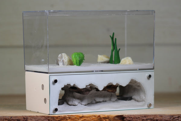 Hearth (Bone 4059)(2-Sided)