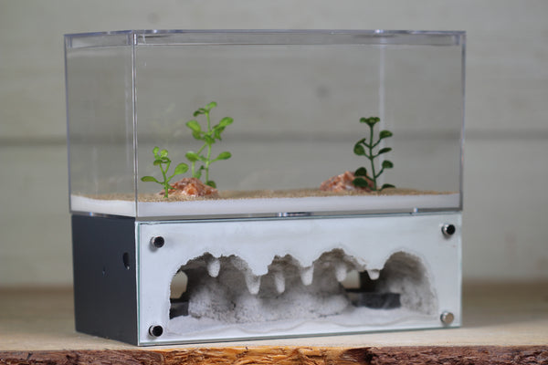 Hearth (Grey 4063)(2-Sided)