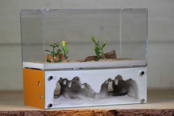 Hearth (Terra 4065)(2-Sided)