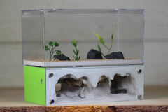 Hearth (Lime 4066)(2-Sided)