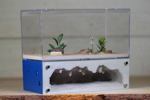 Hearth (Dark Blue 4069)