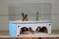 Hearth (Light Blue 4067)(2-Sided)