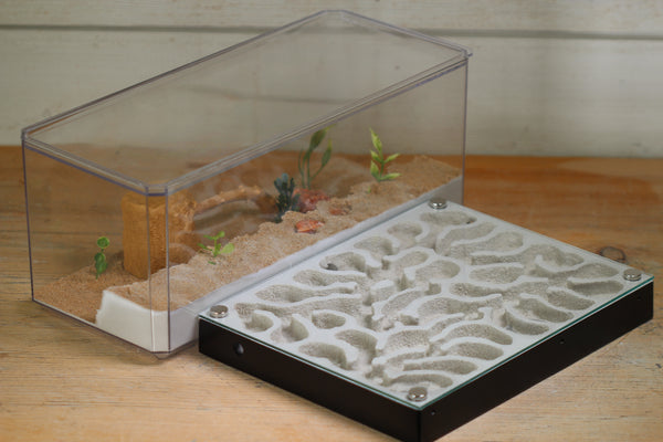 XL Labyrinth (Black 4204)