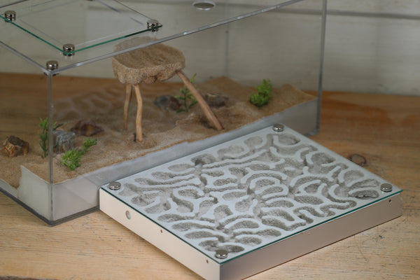 XL Labyrinth (Bone 4203)(MQ BOX)