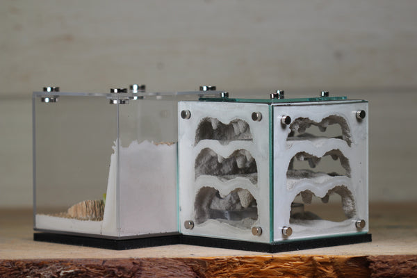 Atrium (Black 4150)(MQ Box)