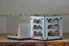 Atrium (Grey 4157)(MQ Box)