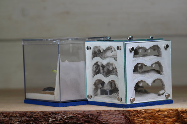 Atrium (Dark Blue 4160)