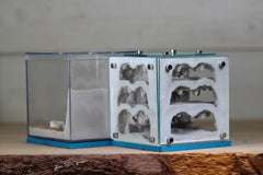 Atrium (Aqua Blue 4162)