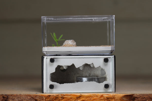 Mini Hearth (Black 100)