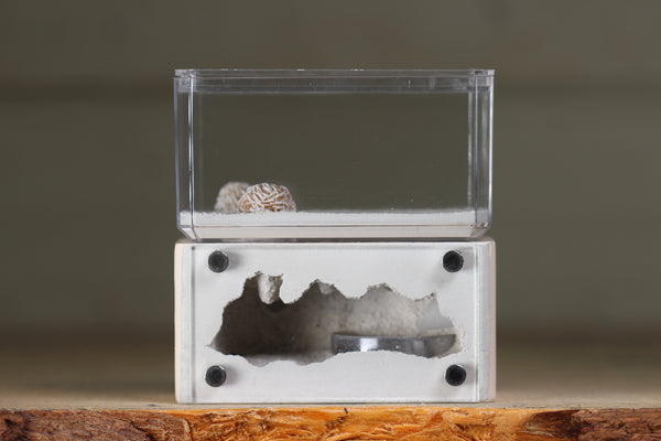 Mini Hearth (Bone 110)