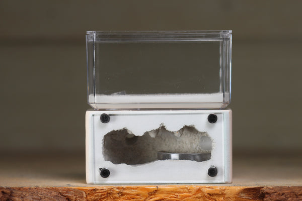 Mini Hearth (Bone 111)