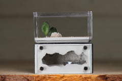 Mini Hearth (Grey 113)