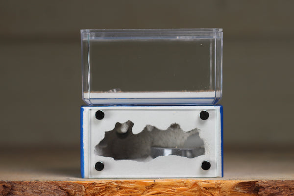 Mini Hearth (Dark Blue 121)