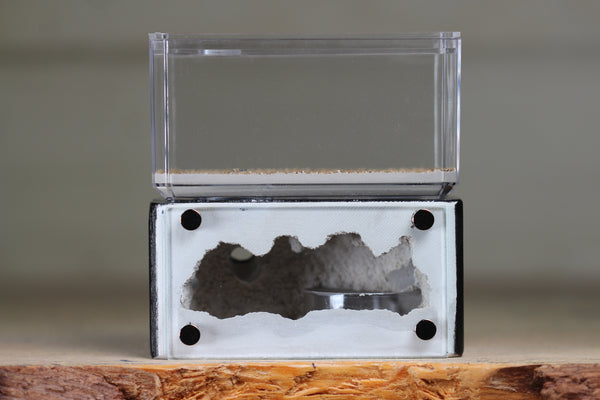 Mini Hearth (Black 1100)