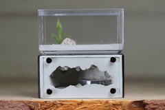 Mini Hearth (Black 1101)