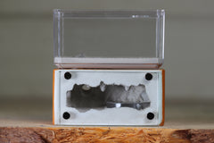 Mini Hearth (Terra 1118)