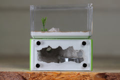 Mini Hearth (Lime 1123)