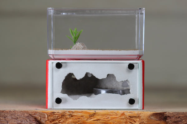 Mini Hearth (Red 1124)