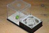 Lair Formicarium(Black 700)