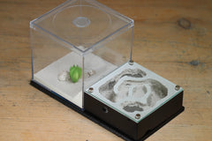 Lair Formicarium(Black 700)