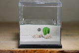 Lair Formicarium(Black 700)