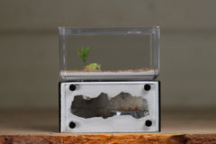 Mini Hearth (Black 1200)(GLOW)