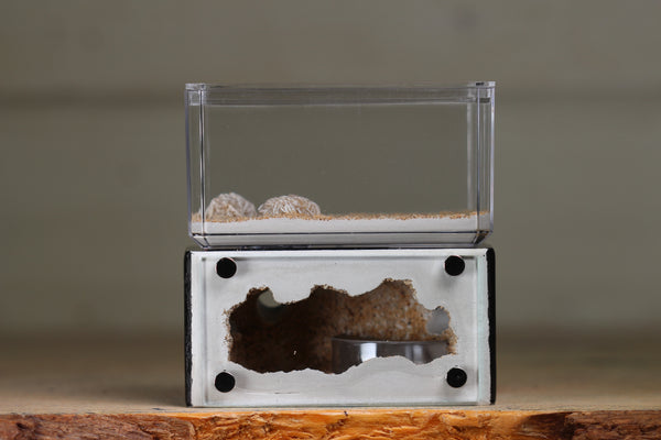 Mini Hearth (Black 1201)