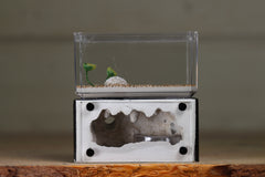 Mini Hearth (Black 1206)
