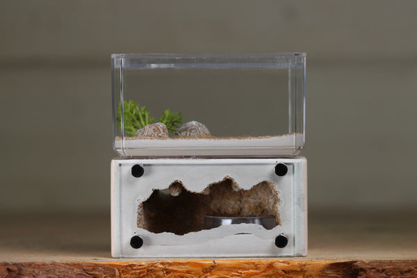 Mini Hearth (Bone 1209)