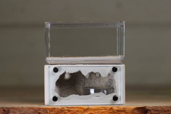 Mini Hearth (Bone 1210)