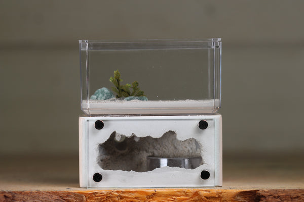 Mini Hearth (Bone 1211)