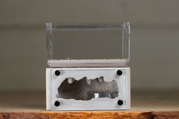 Mini Hearth (Bone 1212)