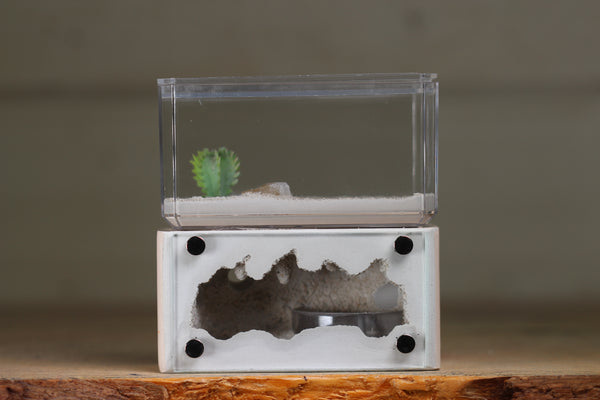 Mini Hearth (Bone 1213)